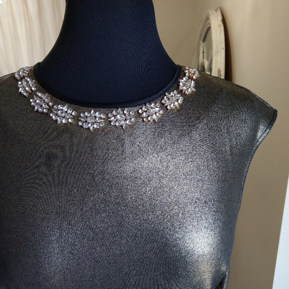 🍒NWT🍒 TED BAKER BEJEWELED FIT & FLARE DRESS - Picture 3 of 13